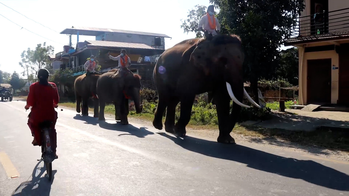 रूद्रकली र खगेन्द्रप्रसादलाई सौराहाबाट विदाइ